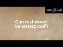youtube - [Video]