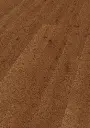 ce.f3.2d.1101280226HWEicheJoshuaTreeOFPersV01.webp