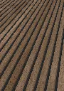 imgi_4_1101130325_DP_Eiche-dunkelbraun-mattschwarz_OF-Pers_V01_934714.webp
