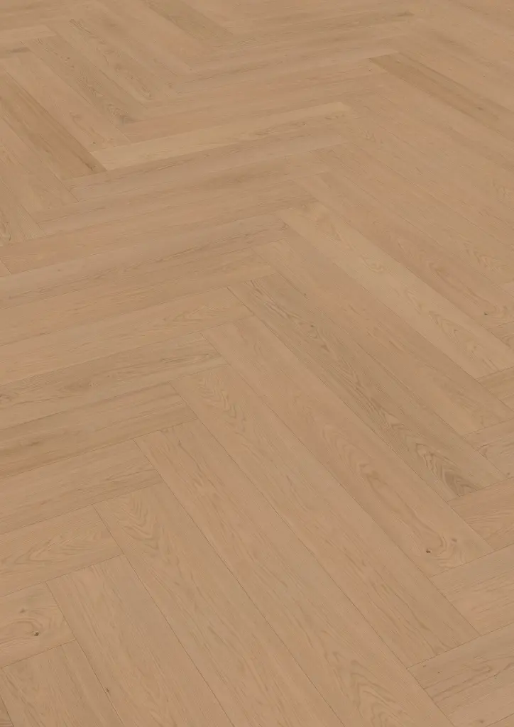 66.6a.bb.1101281424HWEicheTayronaOFPersV01.webp