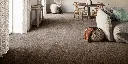 DRADTA_40_LIVING.webp