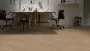 50.2d.72.1101281430HWEicheAcadiaBueroMilieuRSV02.webp