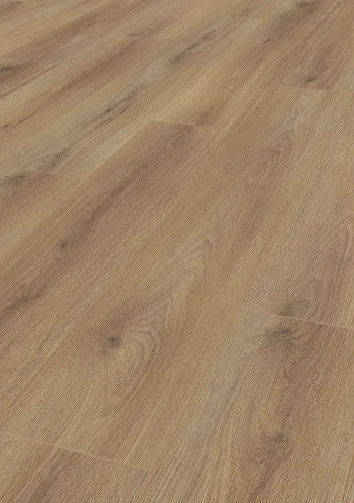 84.a8.78.1188020006LBEicheAureliaOFPersV01.webp