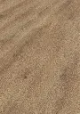 84.a8.78.1188020006LBEicheAureliaOFPersV01.webp