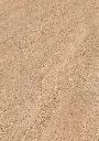 05.41.c6.11880200091188020017LBEicheFlavioOFPersV01.webp