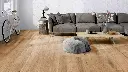 8d.ce.59.11883124451188312441FPWohnMilieuRSV01 (1).webp