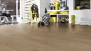 image - 2025-11-24T152838.025.webp