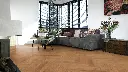 image - 2025-11-25T103111.769.webp