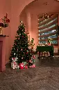 gyant dark brown_lam_v4_504x84_berryalloc_rsh_03.webp