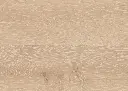 ee.e4.23.1101270110AFEicheCapellaOFDetailV01.webp
