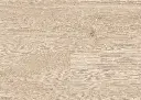 b1.2e.17.1101270103AFEicheDeimosOFDetailV01.webp