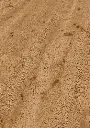 d4.64.94.1101270112AFEicheJunoOFPersV01.webp