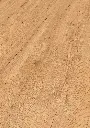 01.b3.e4.1101270102AFEicheKumaOFPersV01.webp