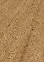 cf.fc.73.1101270109AFEicheAskellaOFPersV01.webp
