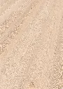 bd.34.1b.1101250221AFFichtePolarisOFPersV01.webp