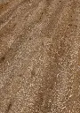 d7.4a.7c.1101270104AFEicheLyraOFPersV01.webp