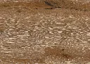 fa.fe.3a.1101270104AFEicheLyraOFDetailV01.webp