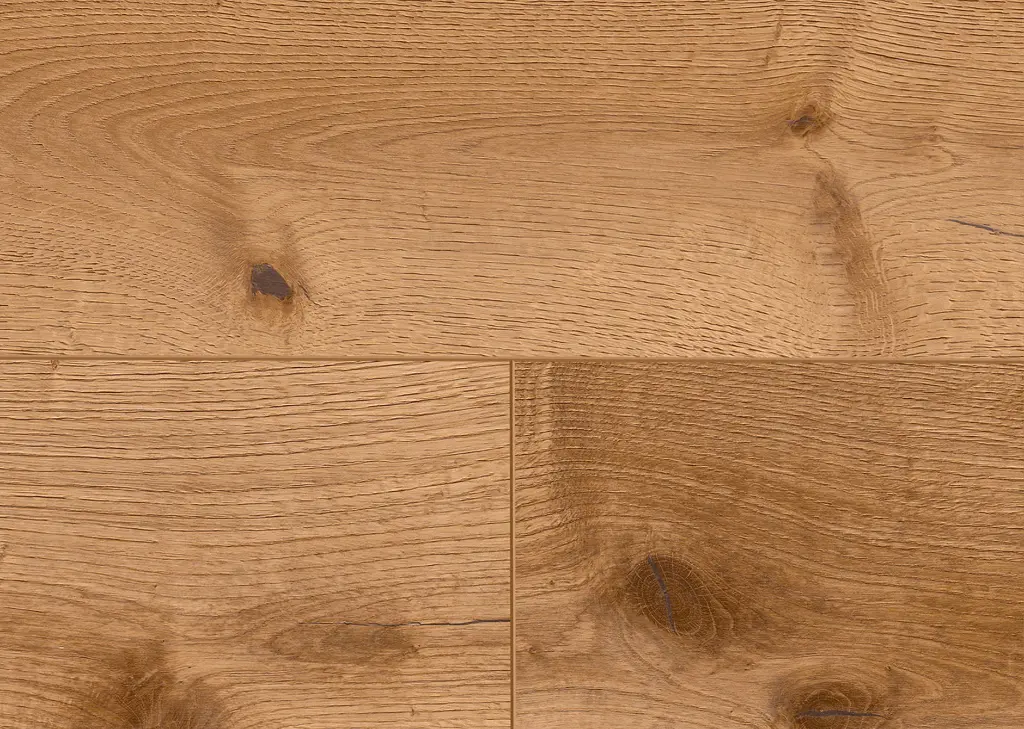 ef.ee.fa.1101250214AFEicheJunoOFDetailV01.webp