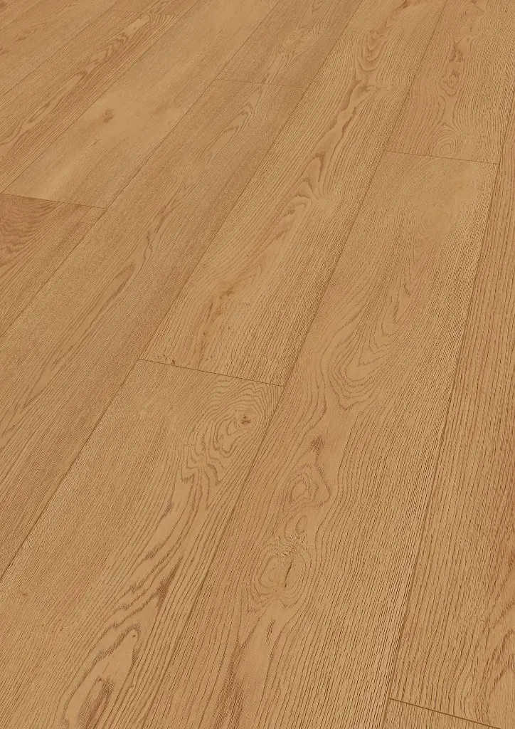 7f.a7.ef.1101250220AFEicheVenusOFPersV01.webp