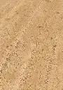 19.27.ed.1101250217AFEichePerseusOFPersV01.webp