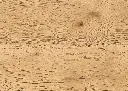 5a.8a.f2.1101250217AFEichePerseusOFDetailV01.webp