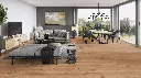 a1.d1.1f.1101250214AFEicheJunoWohnMilieuRSV01.webp