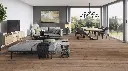 01.9b.96.1101250218AFEicheLyraWohnMilieuRSV01.webp