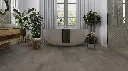 c1.68.8f.1101250315AFSteinAlascoBadMilieuRSV01.webp