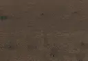 1e.e8.e4.1101281217HWEicheSumavaOFDetailV01.webp