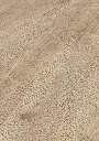 cf.2b.5c.1101260034DUEicheJerseyOFPersV01.webp