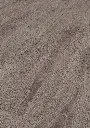 d5.cc.17.1101330006DUEicheNegrosOFPersV01.webp