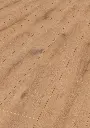14.6e.63.1101330003DUEicheDjerbaOFPersV01.webp