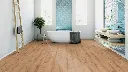 cb.50.7b.1101330003DUEicheDjerbaBadMilieuRSV01.webp