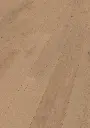 ba.fe.fc.1101281209HWEicheNieuwLandOFPersV01.webp