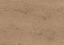 ac.75.3f.1101281109HWEicheNieuwLandOFDetailV01.webp