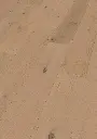 91.de.50.1101281109HWEicheNieuwLandOFPersV01.webp