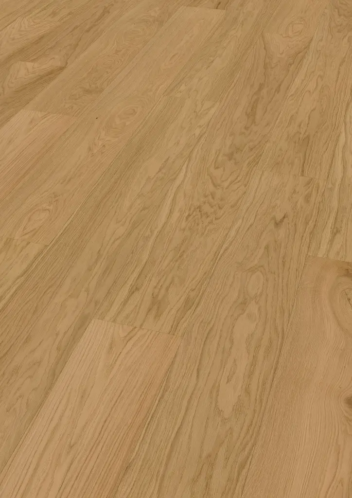 5c.6b.15.1101281200HWEicheCapitolReefOFPersV01.webp