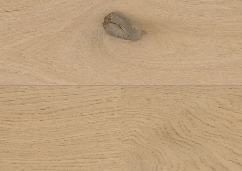 ef.fb.11.1101281205HWEicheDovreOFDetailV01.webp