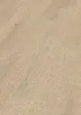 37.37.f2.1101280133HWEicheOuterBanksOFPersV01.webp