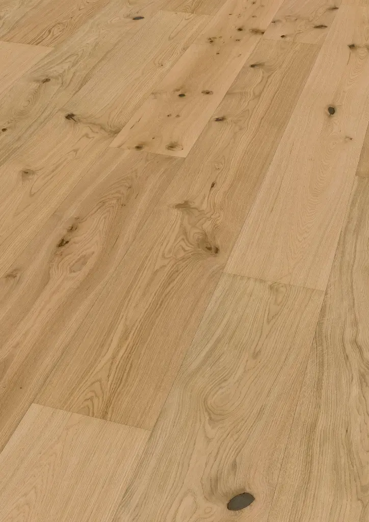 83.4c.cd.1101280131HWEicheCaledonianForestOFPersV01.webp