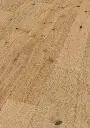 83.4c.cd.1101280131HWEicheCaledonianForestOFPersV01.webp