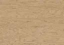 fc.a2.bc.1101281203HWEicheNordensArkOFDetailV01.webp