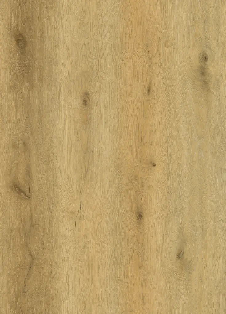 [SPC-DN86417-004] Regis Timber RigidPro SPC 1220 x 228 x 6mm 0.55 WL Embossed