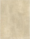 SPC WALL PANEL 3D Honey-toned
