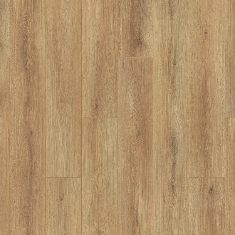 03440 OTIUM Amber taupe