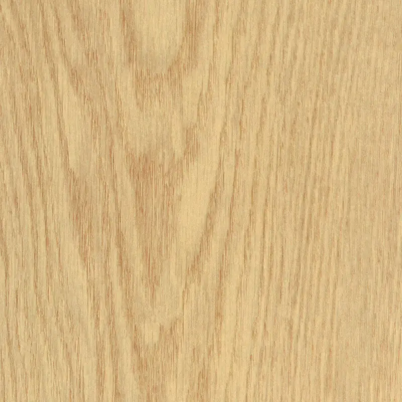03444 OTIUM Calyx mist