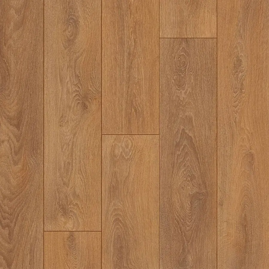 04588 OTIUM Ritual brown