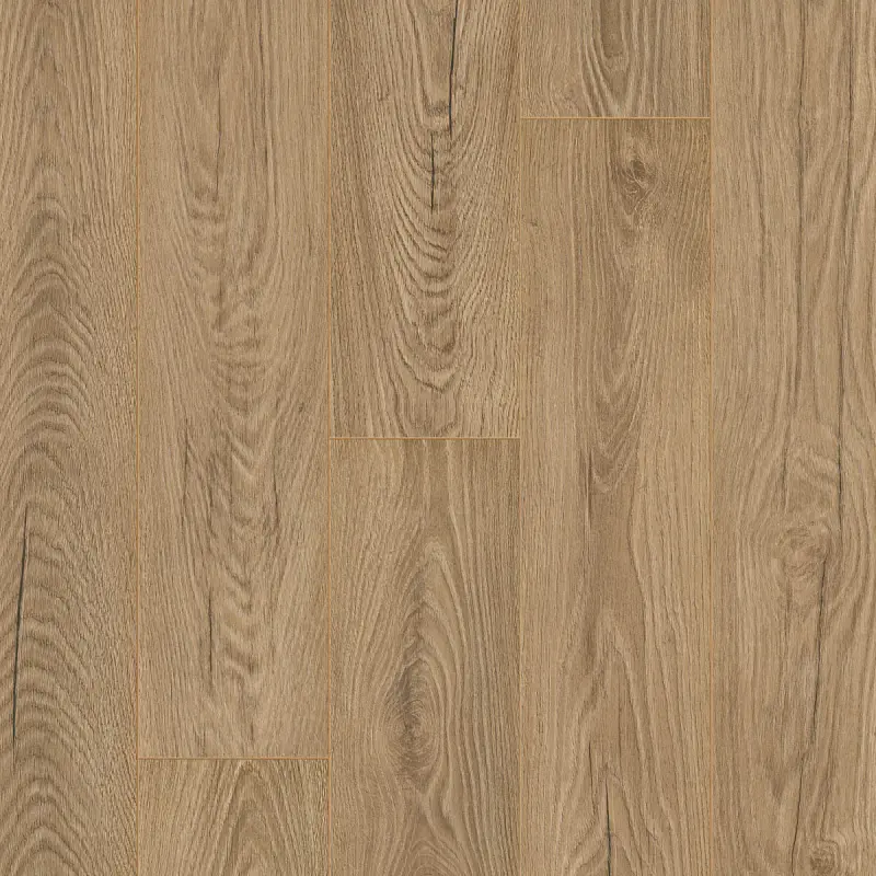 04592 OTIUM Ritual taupe