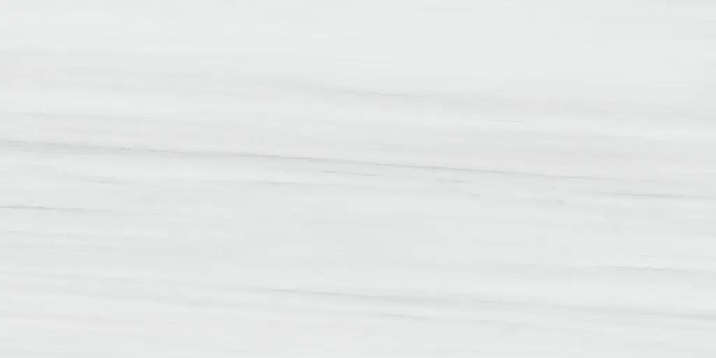 [58803] Dolomite tegel Porselein 60 x 120 (White mate)