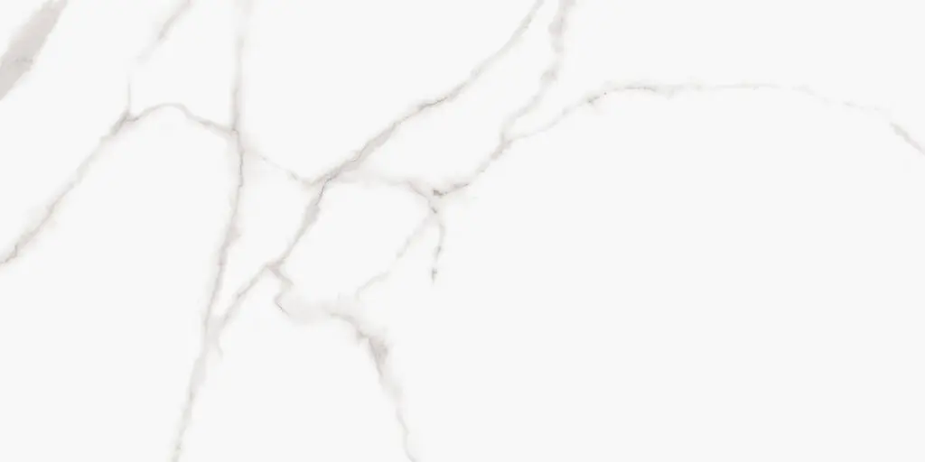[42143] Bianco Carrara tegel Porselein 60 x 120
